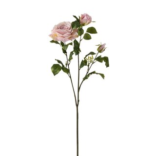 Langstielige Rose in Rosa mit 3 Blüten