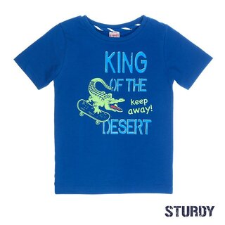 Sturdy T-Shirt in Blau