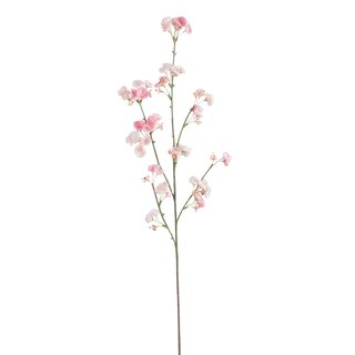 Blütenzweig Hydrangea Pompom, Rosa