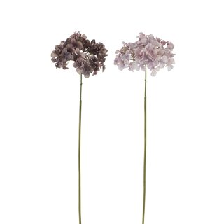 Blütenzweig Hortensie in 2 Faben
