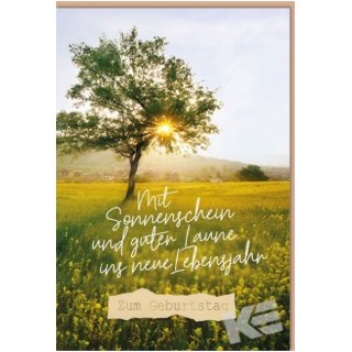 Eulzer Druck Geburtstagskarte Zum Geburtstag - Mit Sonnenschein und guter Laune ins neue Lebensjahr